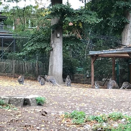Ferienhaus Am Park Am Roehrensee 拜罗伊特 外观 照片