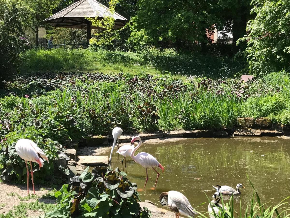 Ferienhaus Am Park Am Roehrensee 拜罗伊特 外观 照片