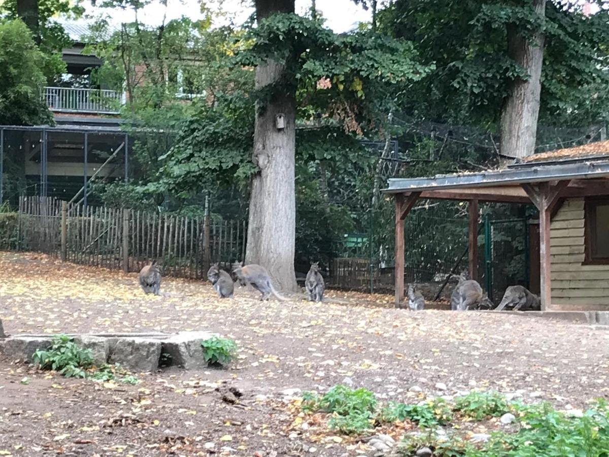 Ferienhaus Am Park Am Roehrensee 拜罗伊特 外观 照片