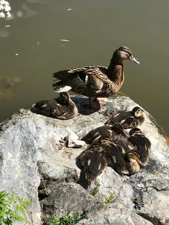 Ferienhaus Am Park Am Roehrensee 拜罗伊特 外观 照片